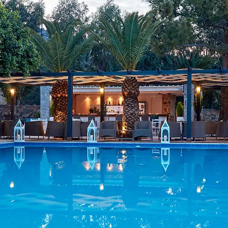 Hotel Palm & 4*