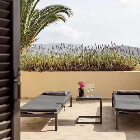 Palm & Hotel 4*