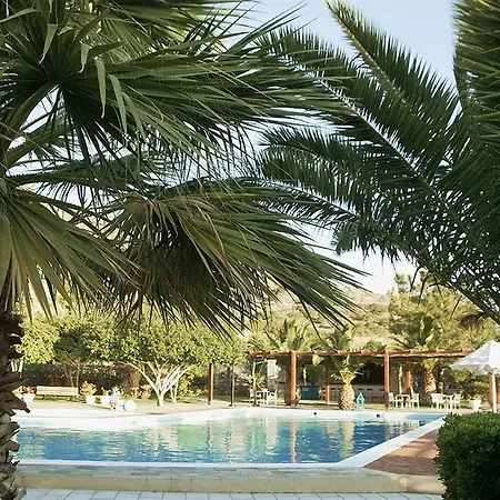 Palm &