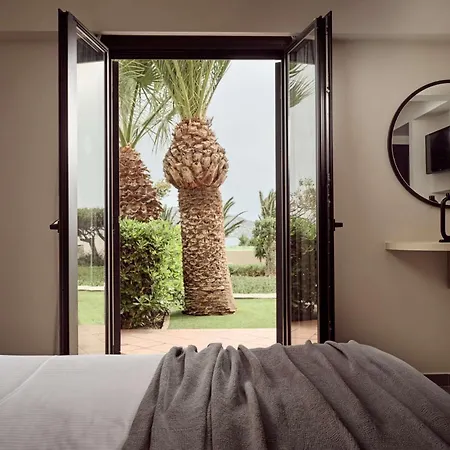 Отель Palm & 4*